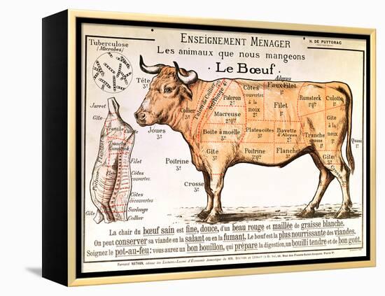 Beef: Diagram Depicting the Different Cuts of Meat-null-Framed Premier Image Canvas