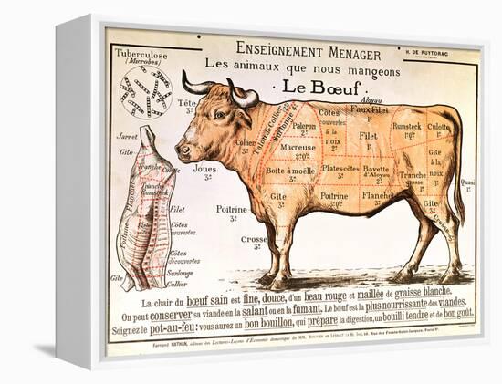 Beef: Diagram Depicting the Different Cuts of Meat-null-Framed Premier Image Canvas