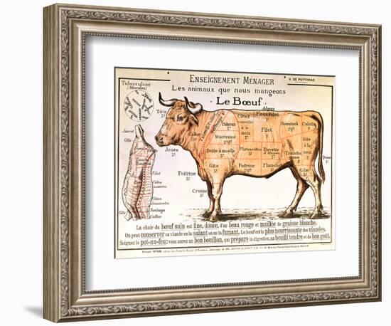 Beef: Diagram Depicting the Different Cuts of Meat-null-Framed Premium Giclee Print