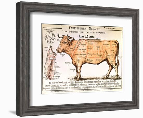 Beef: Diagram Depicting the Different Cuts of Meat-null-Framed Premium Giclee Print