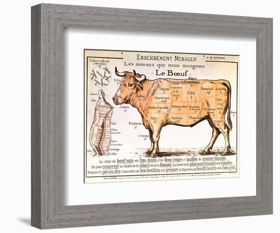 Beef: Diagram Depicting the Different Cuts of Meat-null-Framed Premium Giclee Print