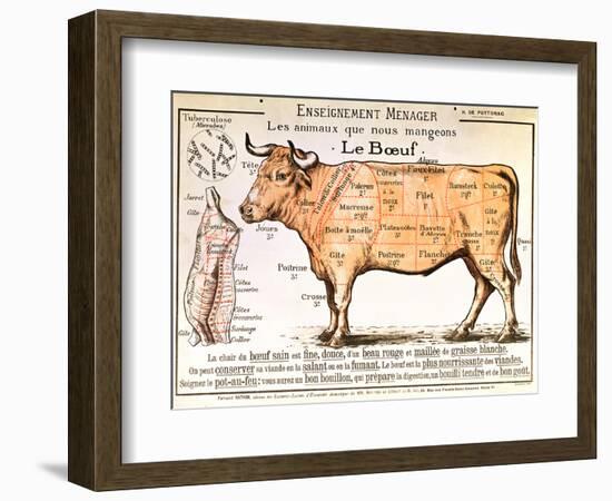 Beef: Diagram Depicting the Different Cuts of Meat-null-Framed Premium Giclee Print