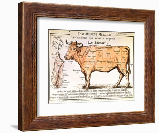 Beef: Diagram Depicting the Different Cuts of Meat-null-Framed Premium Giclee Print