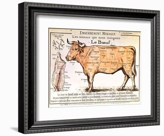 Beef: Diagram Depicting the Different Cuts of Meat-null-Framed Premium Giclee Print