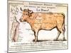 Beef: Diagram Depicting the Different Cuts of Meat-null-Mounted Premium Giclee Print