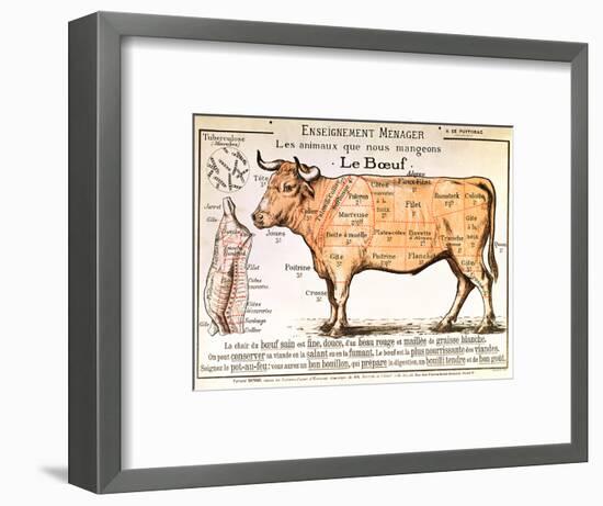 Beef: Diagram Depicting the Different Cuts of Meat-null-Framed Giclee Print