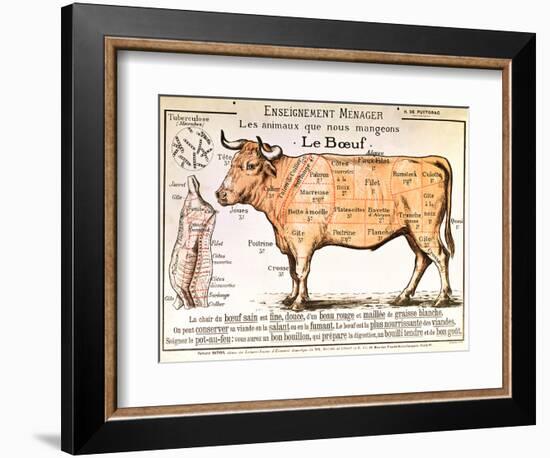 Beef: Diagram Depicting the Different Cuts of Meat-null-Framed Giclee Print