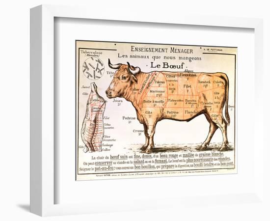 Beef: Diagram Depicting the Different Cuts of Meat-null-Framed Giclee Print