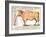 Beef: Diagram Depicting the Different Cuts of Meat-null-Framed Giclee Print