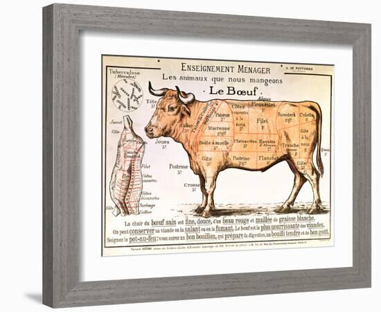 Beef: Diagram Depicting the Different Cuts of Meat-null-Framed Giclee Print