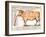 Beef: Diagram Depicting the Different Cuts of Meat-null-Framed Giclee Print