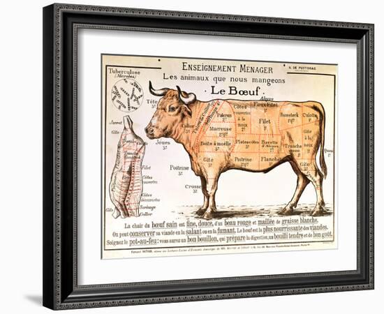 Beef: Diagram Depicting the Different Cuts of Meat-null-Framed Giclee Print