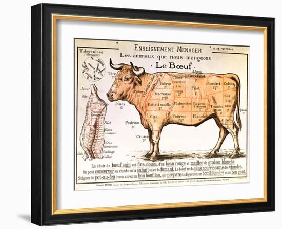 Beef: Diagram Depicting the Different Cuts of Meat-null-Framed Giclee Print