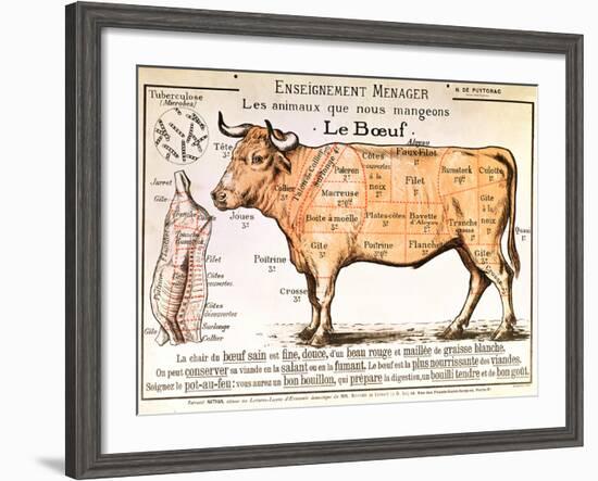 Beef: Diagram Depicting the Different Cuts of Meat--Framed Giclee Print