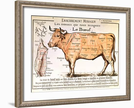 Beef: Diagram Depicting the Different Cuts of Meat--Framed Giclee Print