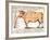 Beef: Diagram Depicting the Different Cuts of Meat-null-Framed Giclee Print