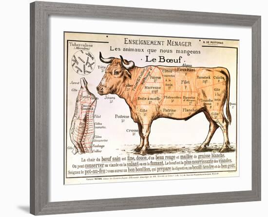 Beef: Diagram Depicting the Different Cuts of Meat-null-Framed Giclee Print