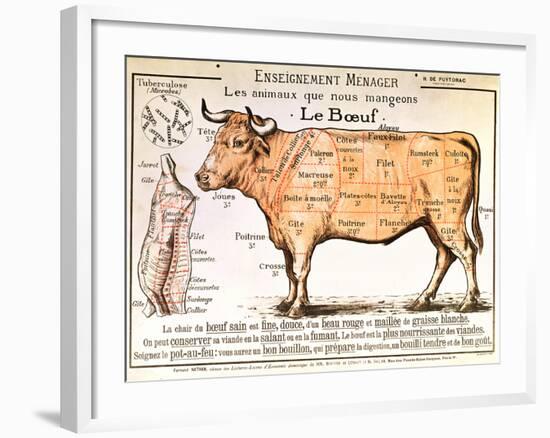 Beef: Diagram Depicting the Different Cuts of Meat--Framed Giclee Print