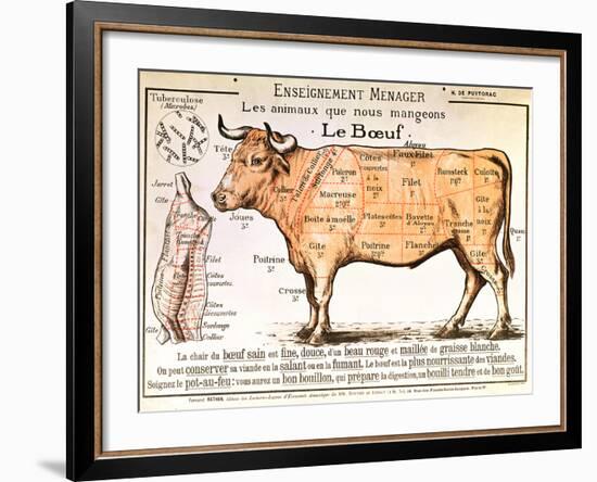 Beef: Diagram Depicting the Different Cuts of Meat-null-Framed Giclee Print