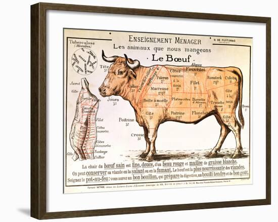 Beef: Diagram Depicting the Different Cuts of Meat--Framed Giclee Print