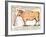 Beef: Diagram Depicting the Different Cuts of Meat-null-Framed Giclee Print