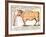 Beef: Diagram Depicting the Different Cuts of Meat-null-Framed Giclee Print