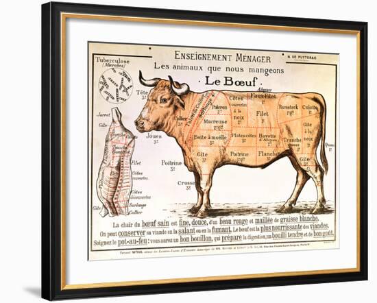 Beef: Diagram Depicting the Different Cuts of Meat--Framed Giclee Print