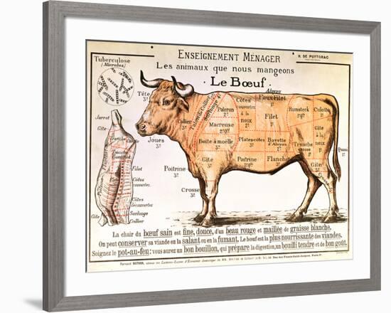 Beef: Diagram Depicting the Different Cuts of Meat-null-Framed Giclee Print