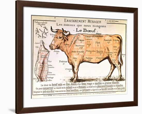 Beef: Diagram Depicting the Different Cuts of Meat-null-Framed Giclee Print