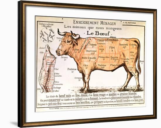 Beef: Diagram Depicting the Different Cuts of Meat-null-Framed Giclee Print