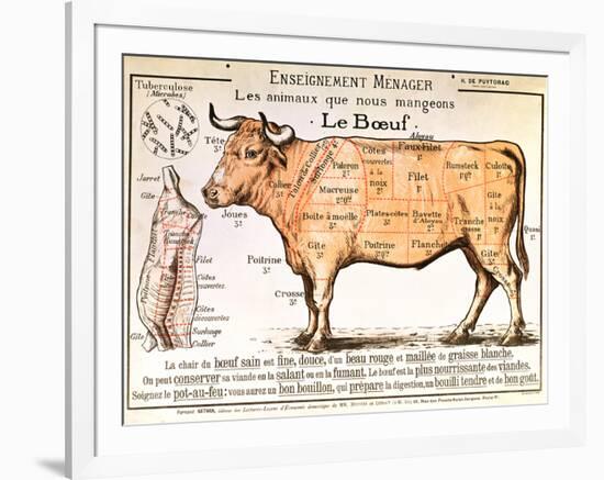 Beef: Diagram Depicting the Different Cuts of Meat-null-Framed Giclee Print