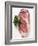 Beef Steak, Garnished with Parsley-null-Framed Photographic Print