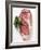 Beef Steak, Garnished with Parsley-null-Framed Photographic Print