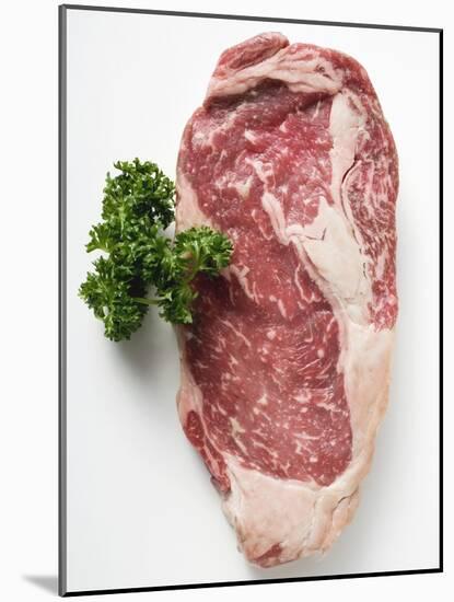 Beef Steak, Garnished with Parsley-null-Mounted Photographic Print