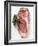 Beef Steak, Garnished with Parsley-null-Framed Photographic Print