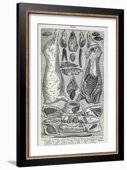 Beef. Various Joints and Cuts Of Beef-Isabella Beeton-Framed Giclee Print