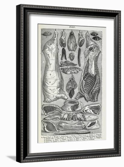 Beef. Various Joints and Cuts Of Beef-Isabella Beeton-Framed Giclee Print