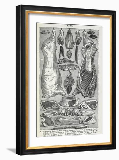 Beef. Various Joints and Cuts Of Beef-Isabella Beeton-Framed Giclee Print