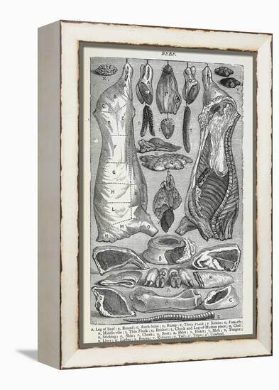 Beef. Various Joints and Cuts Of Beef-Isabella Beeton-Framed Premier Image Canvas