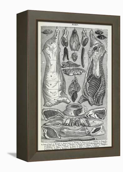 Beef. Various Joints and Cuts Of Beef-Isabella Beeton-Framed Premier Image Canvas