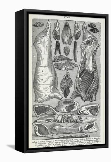 Beef. Various Joints and Cuts Of Beef-Isabella Beeton-Framed Premier Image Canvas
