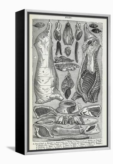 Beef. Various Joints and Cuts Of Beef-Isabella Beeton-Framed Premier Image Canvas