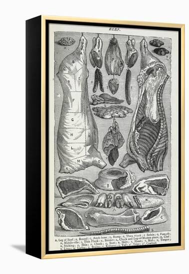 Beef. Various Joints and Cuts Of Beef-Isabella Beeton-Framed Premier Image Canvas