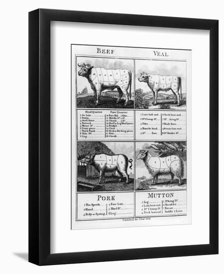 Beef, Veal, Pork, and Mutton Cuts, 1802-null-Framed Giclee Print