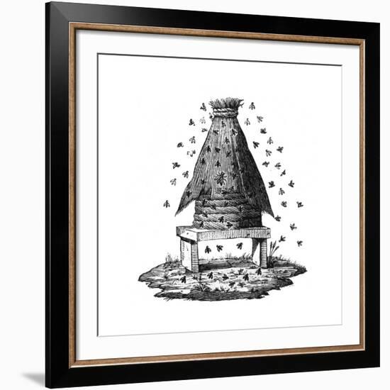 Beehive and Bees-null-Framed Giclee Print