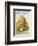 Beehive and One Bee-null-Framed Photographic Print