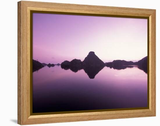 Beehive Islands, Papua, Indonesia-Michele Westmorland-Framed Premier Image Canvas
