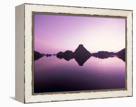 Beehive Islands, Papua, Indonesia-Michele Westmorland-Framed Premier Image Canvas