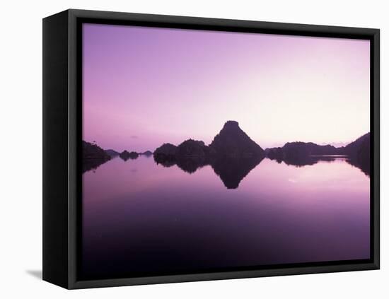 Beehive Islands, Papua, Indonesia-Michele Westmorland-Framed Premier Image Canvas