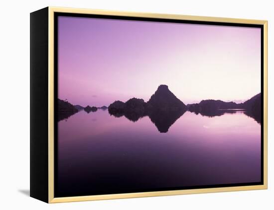 Beehive Islands, Papua, Indonesia-Michele Westmorland-Framed Premier Image Canvas